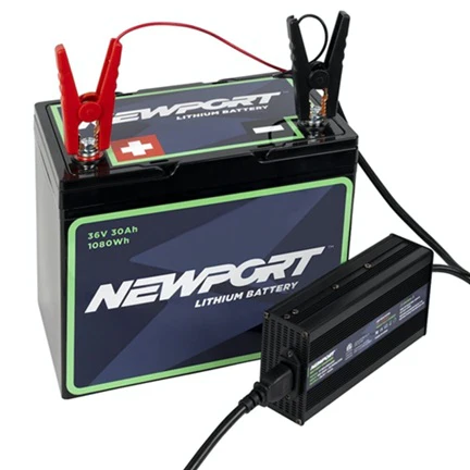 24V Battery Charger - Image 3