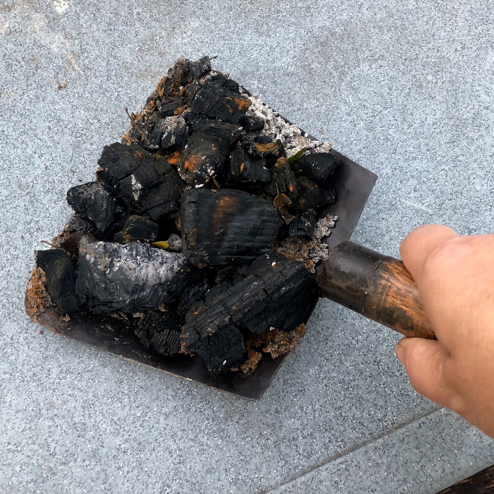 Ash Removal Tool - Image 3