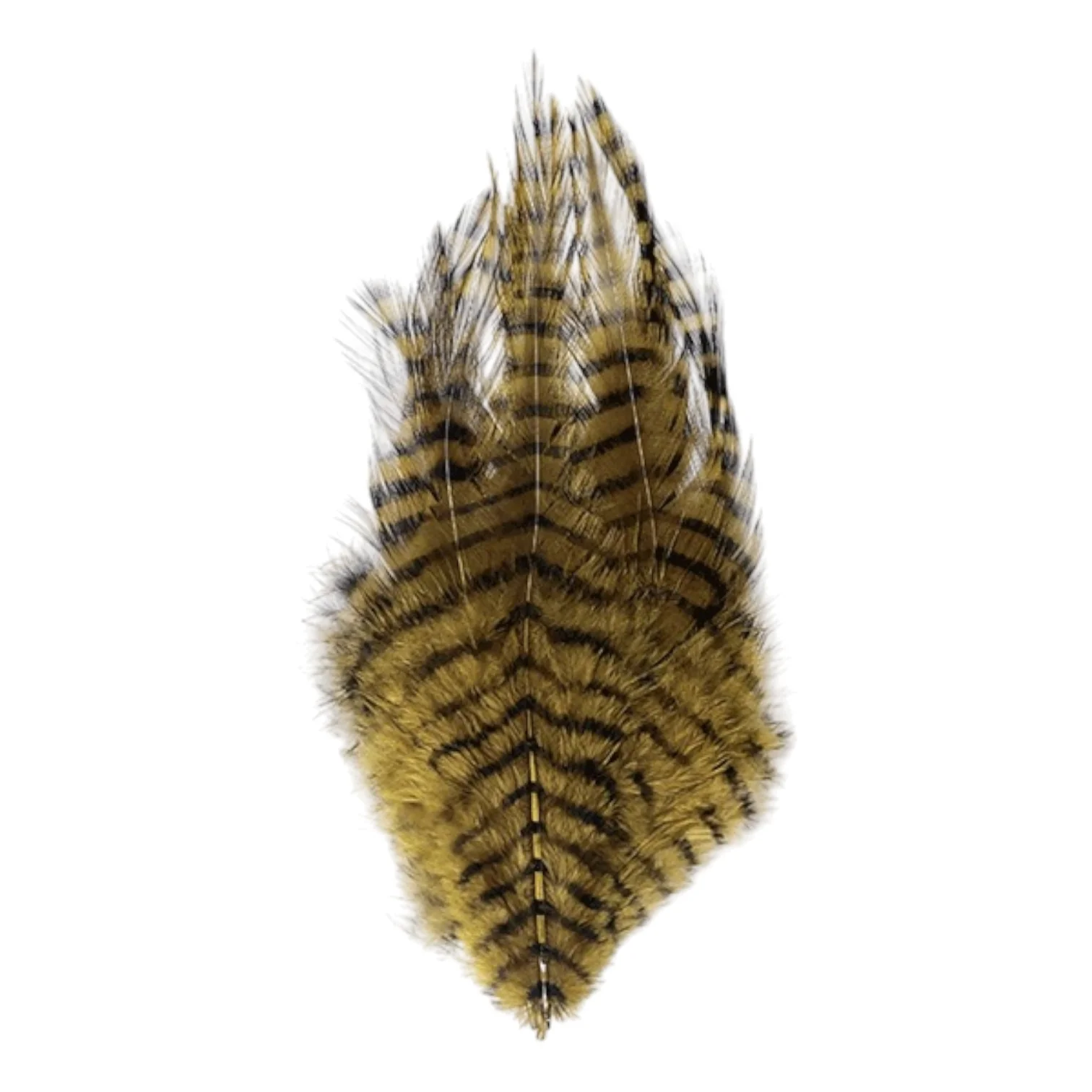 Barred Saddle Hackle