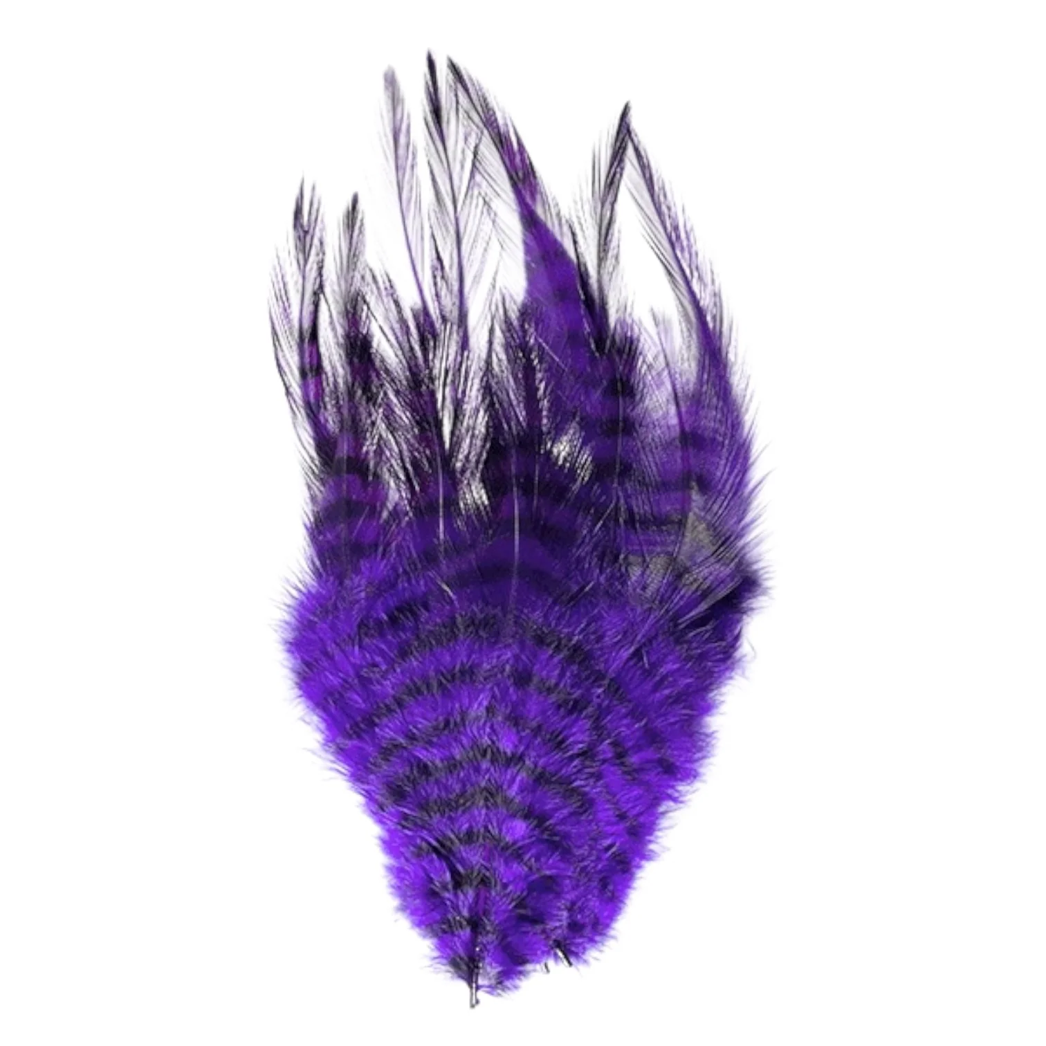 Barred Saddle Hackle