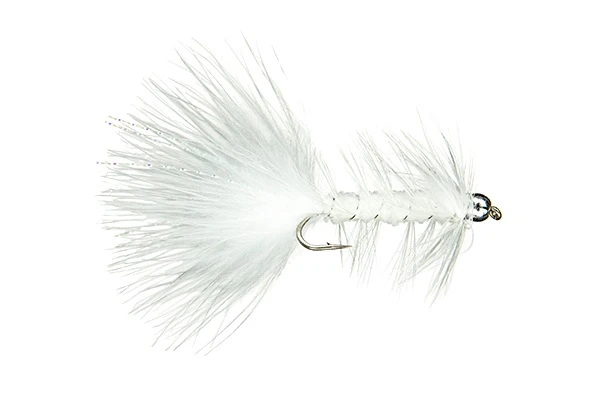 BH Woolly Bugger - (#04)