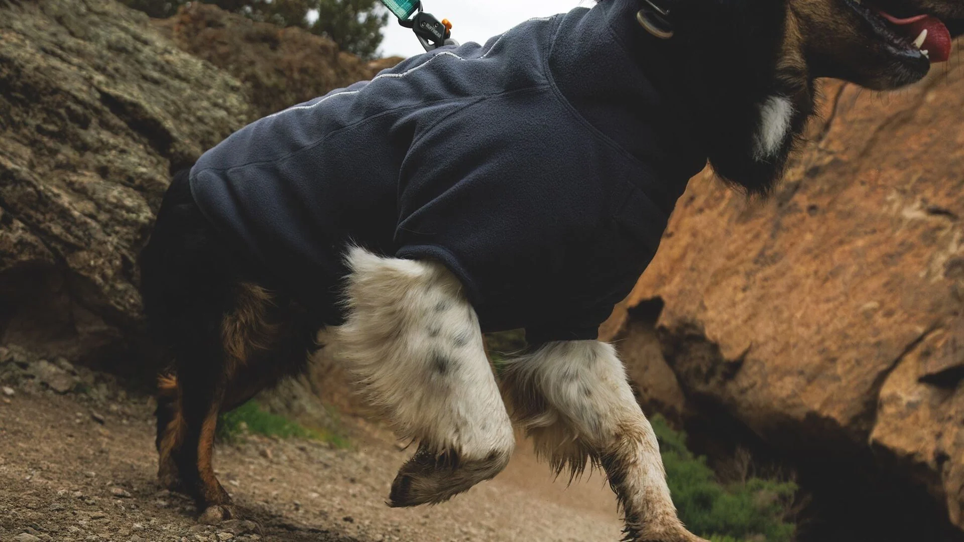 Climate Changer Fleece Jacket - Image 6