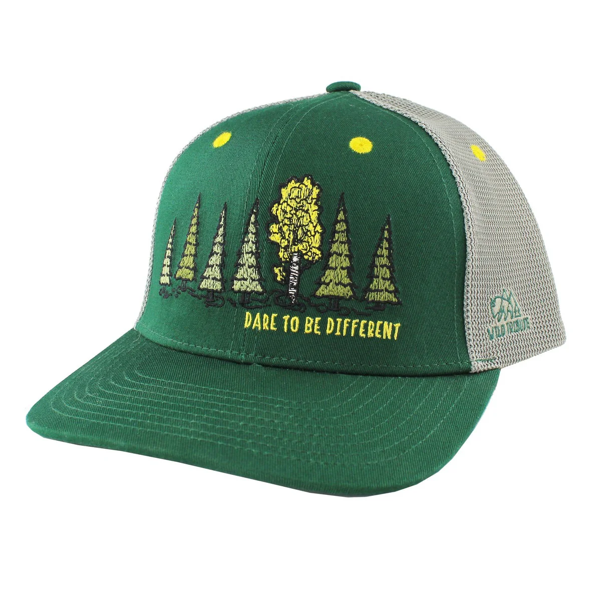 Dare to Be Different Hat