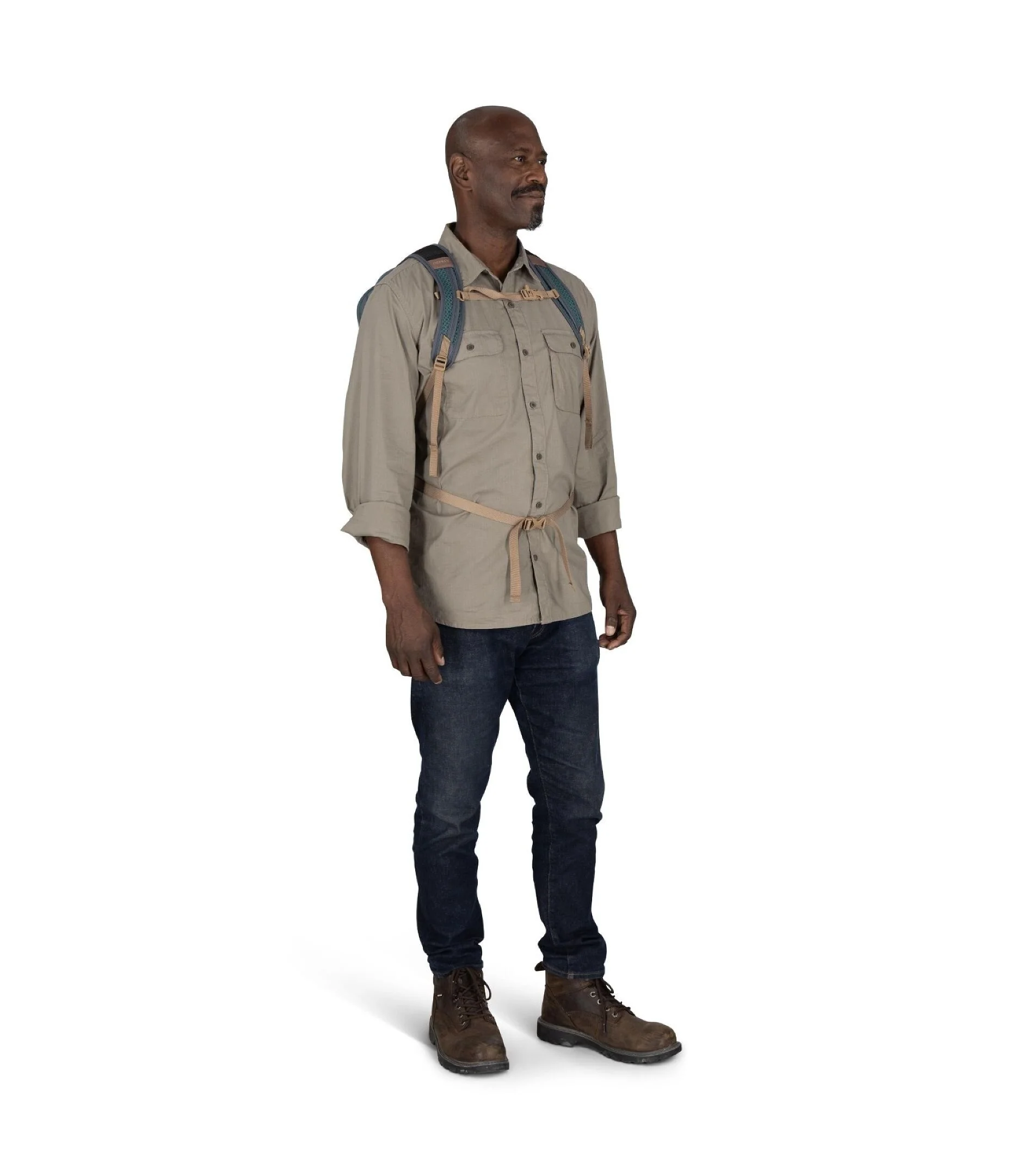 Daylite Plus - Image 4