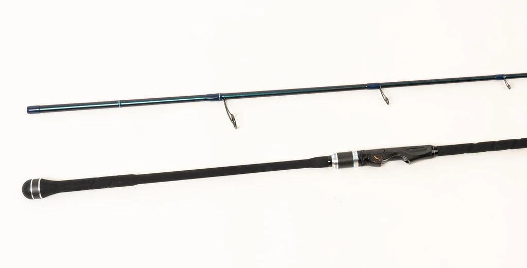 EVO X 10` 2pc Surf Rod - (NXEX-105)
