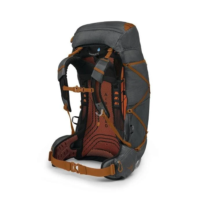 Exos 58 - S/M - Image 2