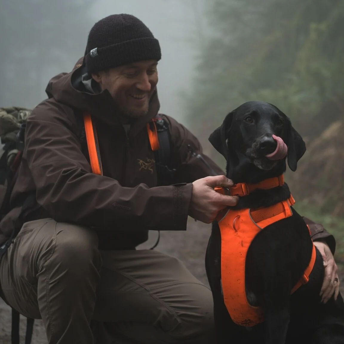 Front Range Dog Harness - Image 6