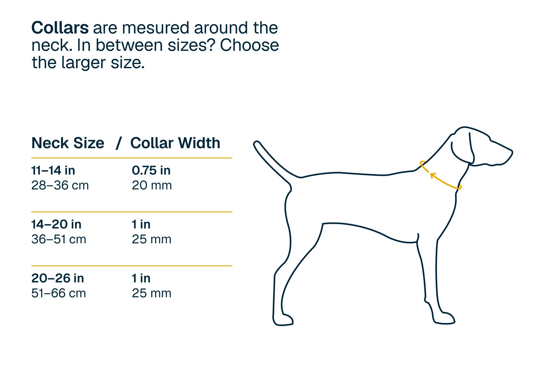 Front Range Flex Dog Collar - Image 4