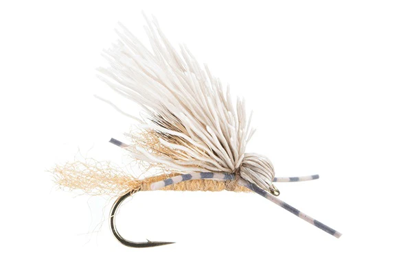 Galloup's Butch Caddis - (#12)
