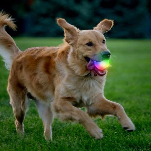 Glowstreak Wild LED Ball - Image 4