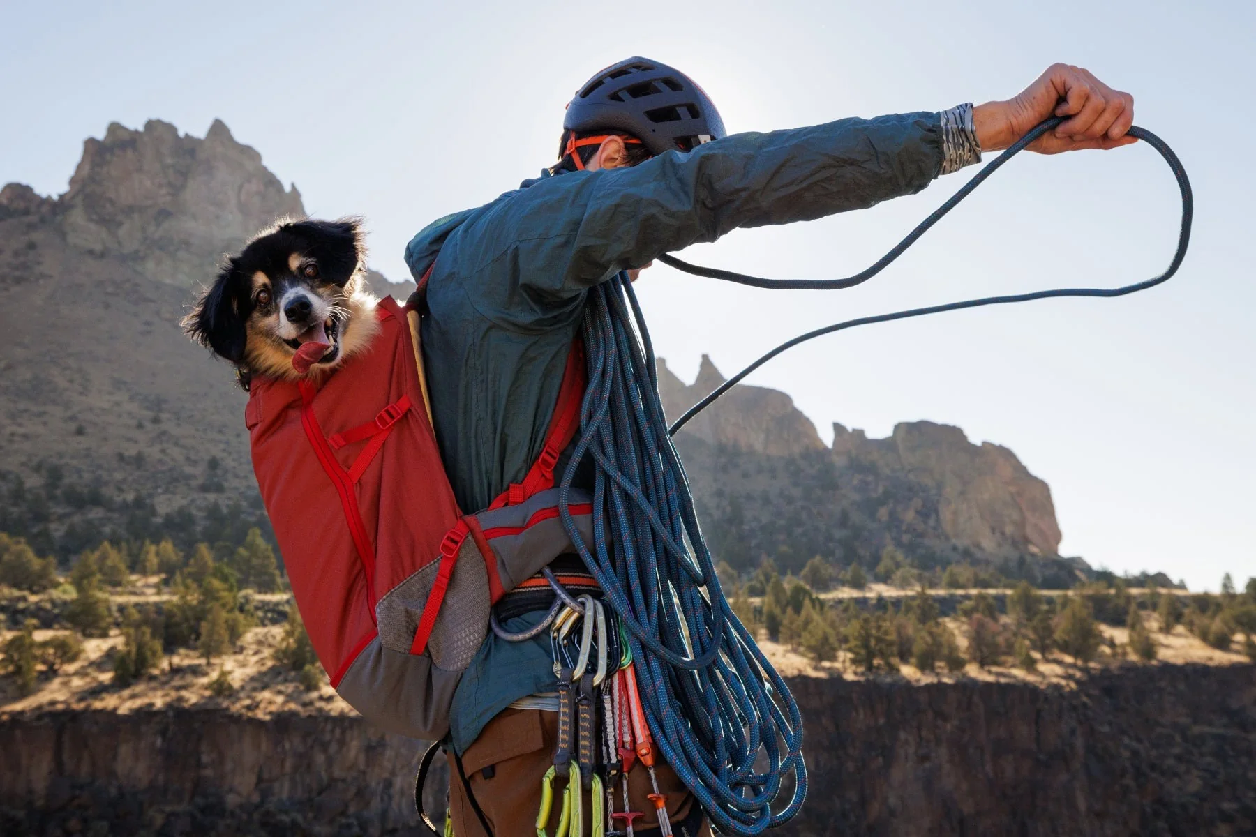 Hitch Hiker Dog Backpack Carrier - Image 3