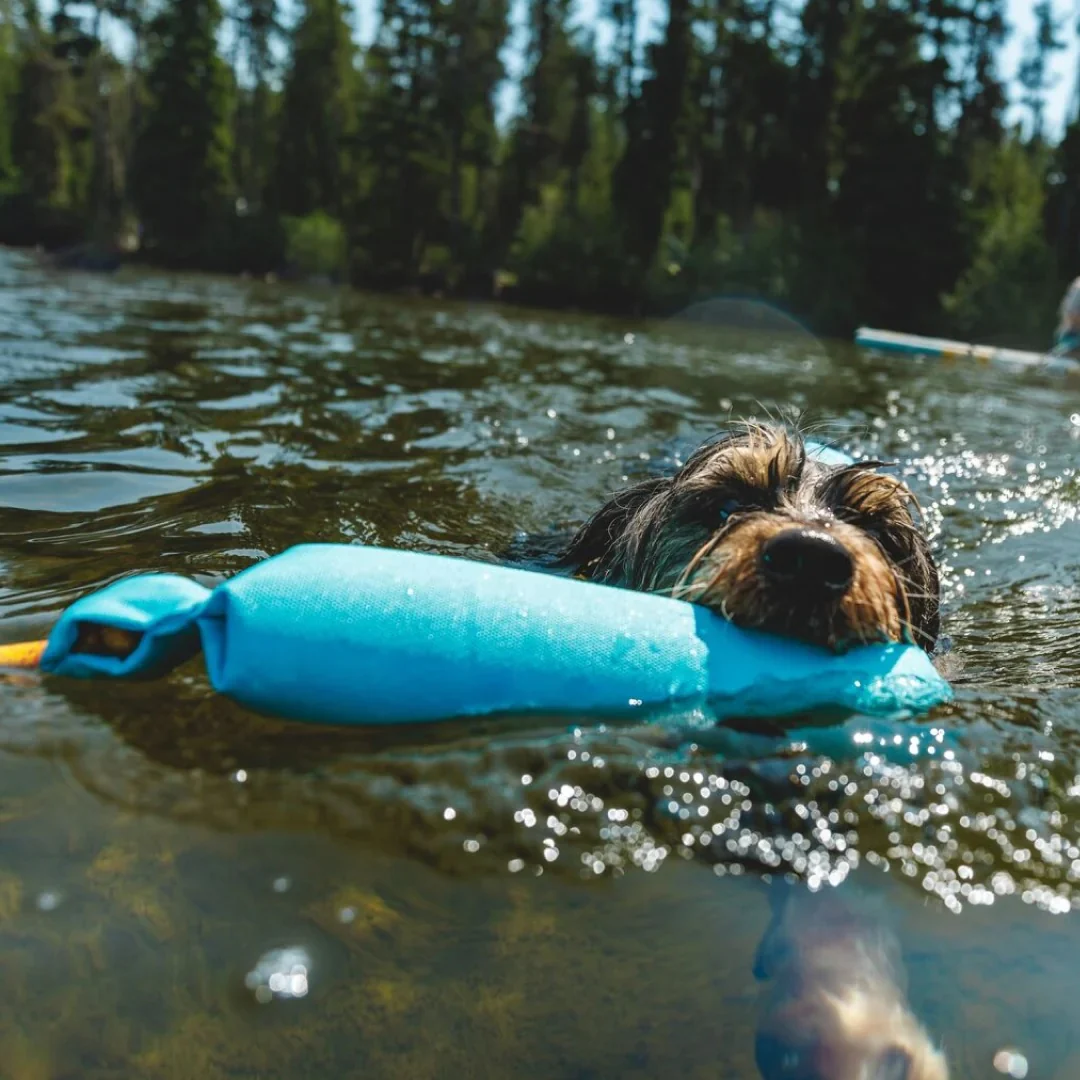 Lunker Floating Throw Toy - Image 3