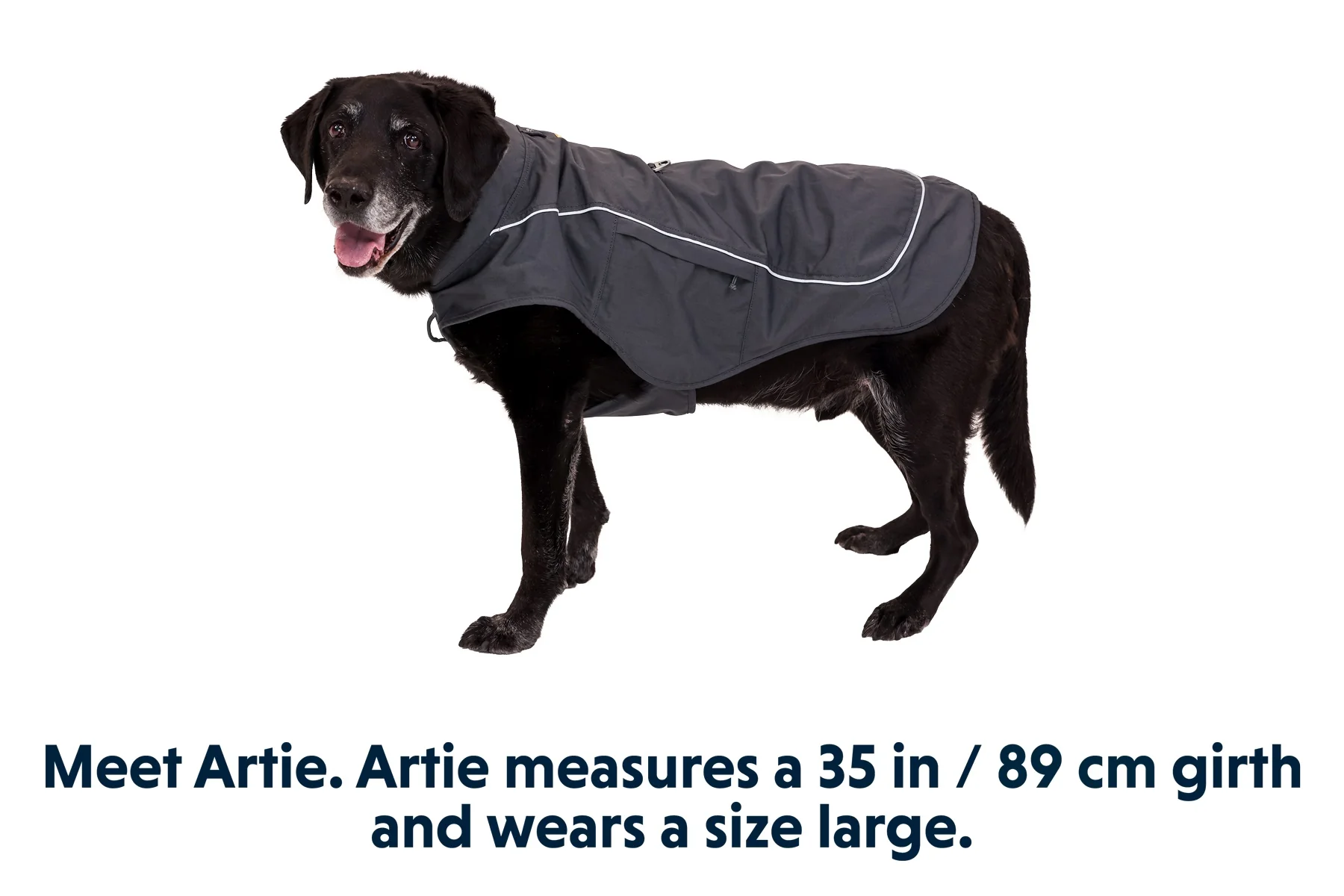 Overcoat Fuse Vest - Image 6
