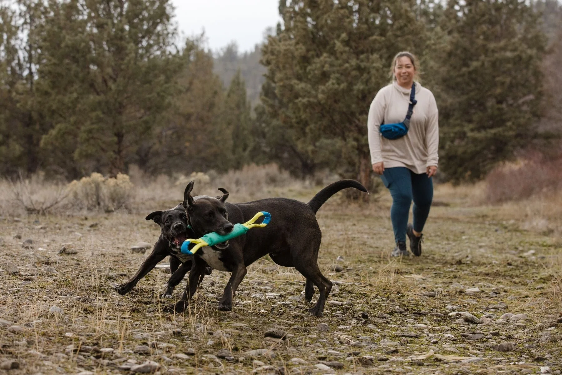 Pacific Loop Toy - Image 4