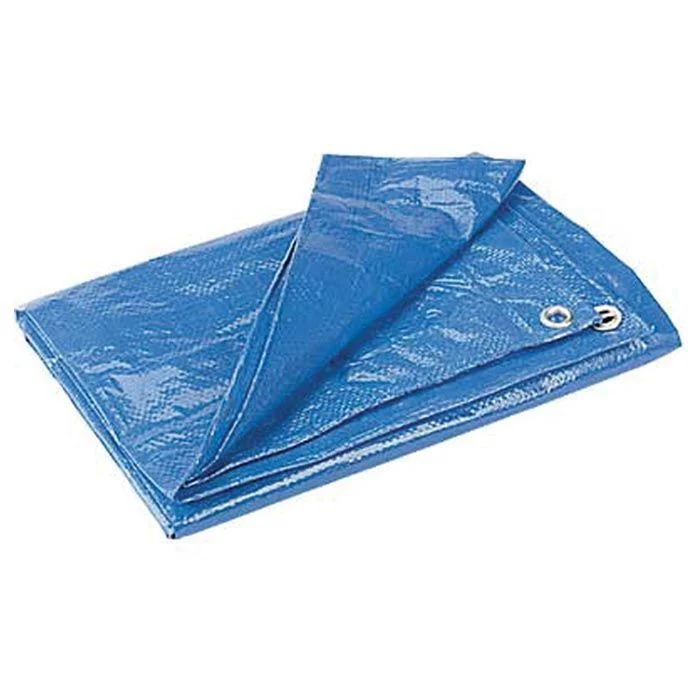 Poly Tarp - 20'x30'