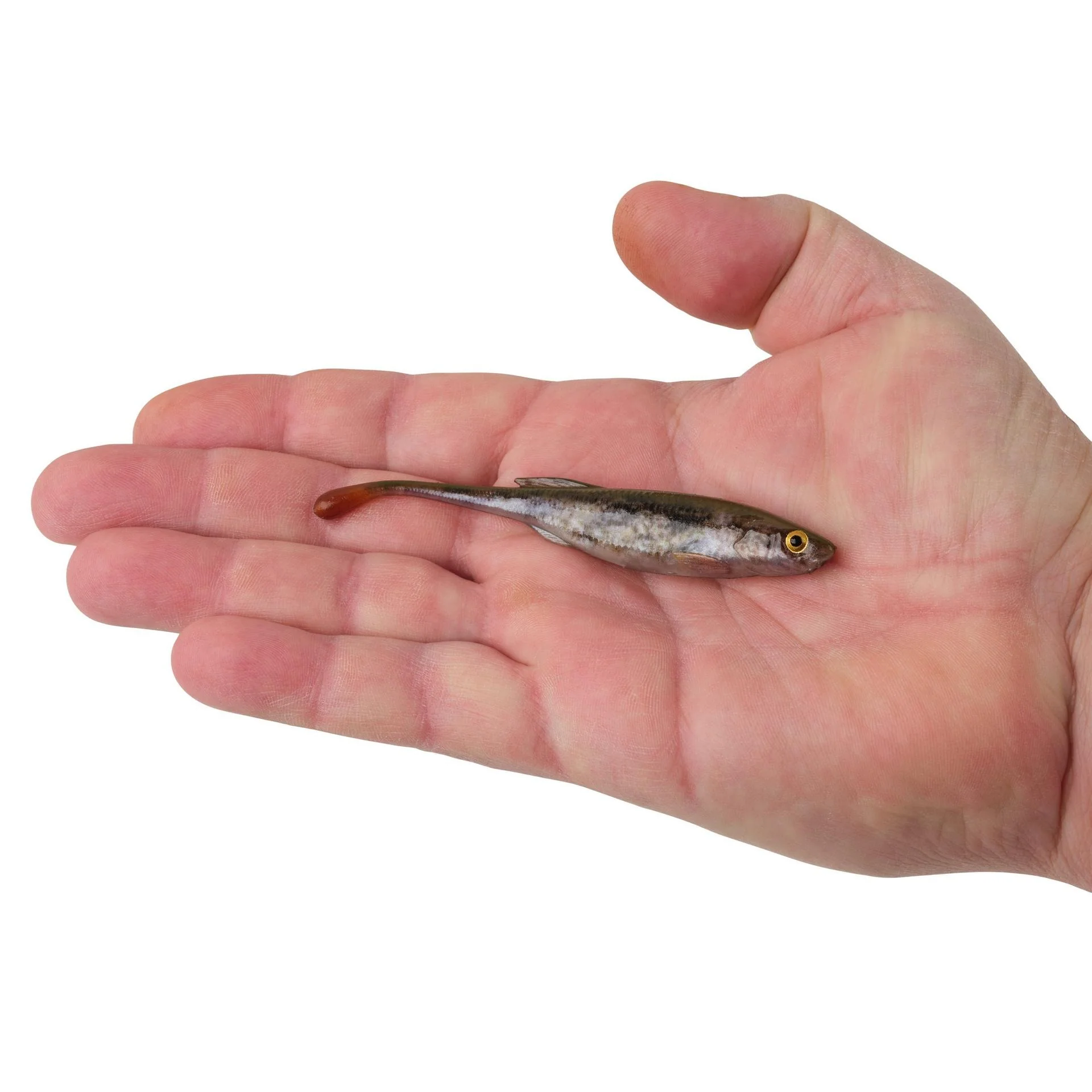 PowerBait Drip Minnow - (4 inch) - Image 4