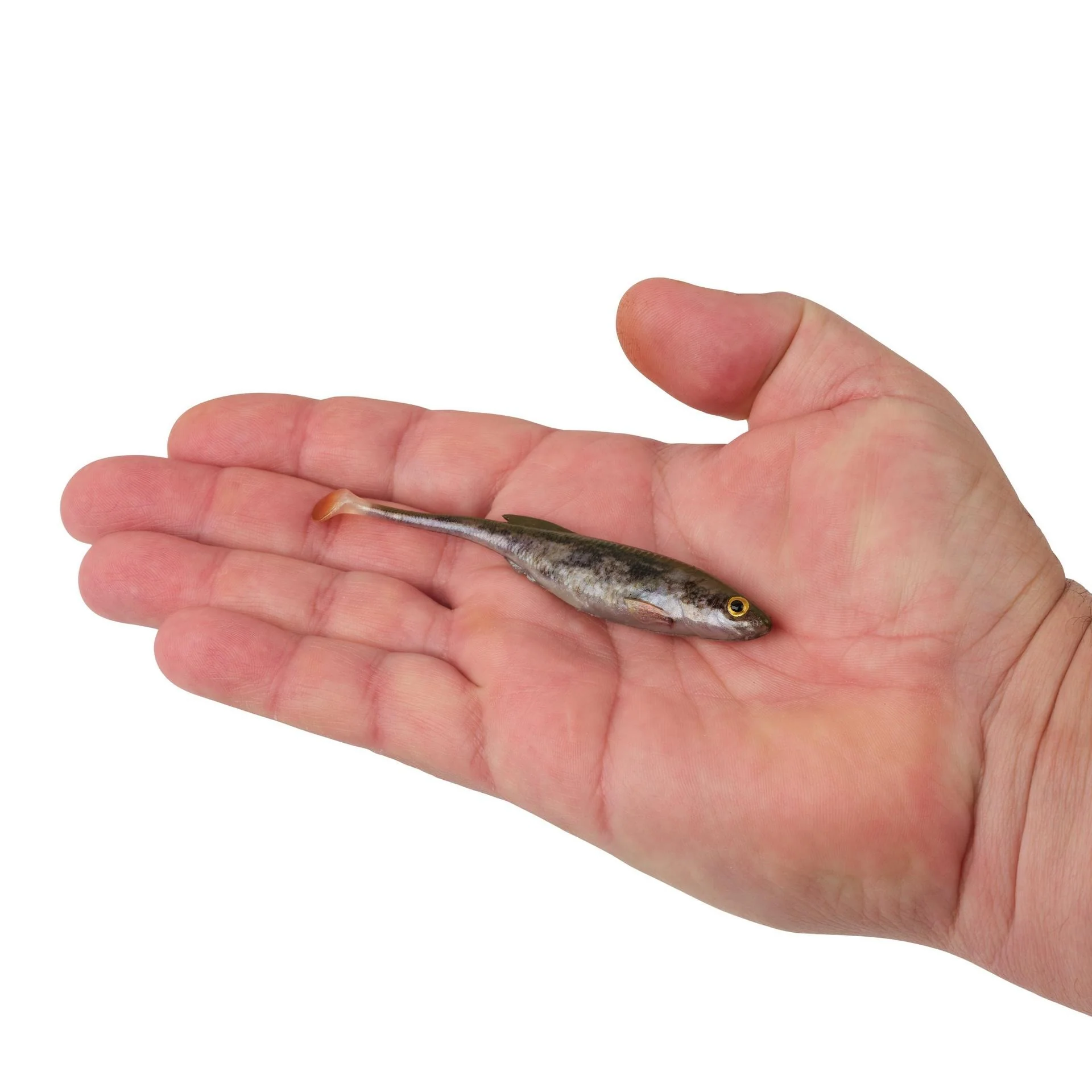 PowerBait Drip Swimmer - (4 inch) - Image 4