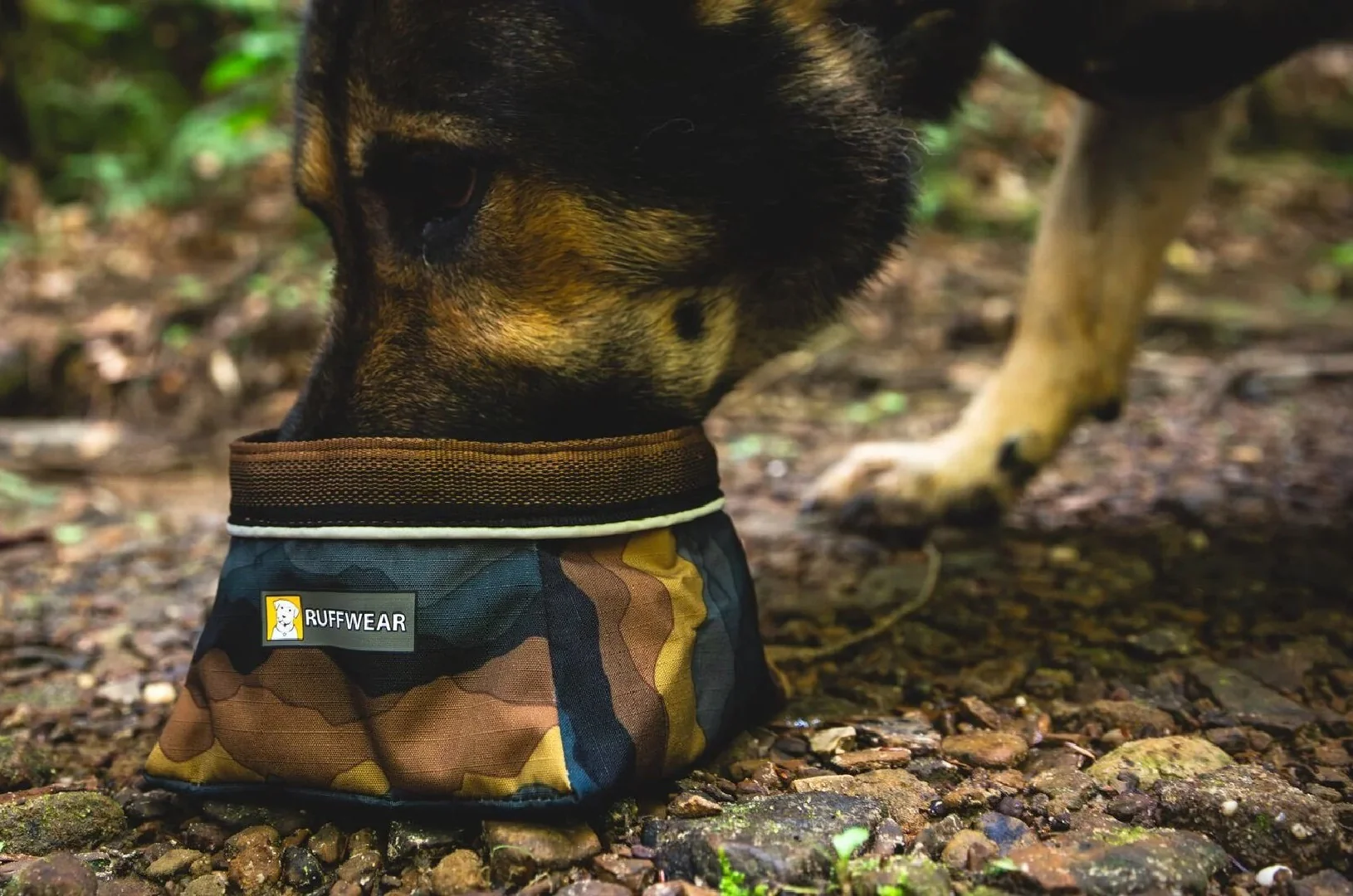 Quencher Packable Dog Bowl - Image 2