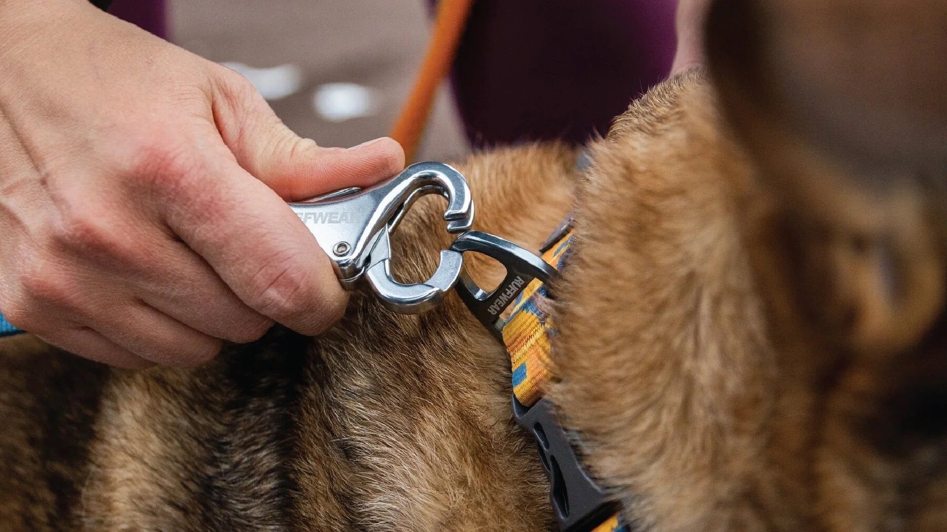 Roamer Bungee Dog Leash (5.5' - 7') - Image 5