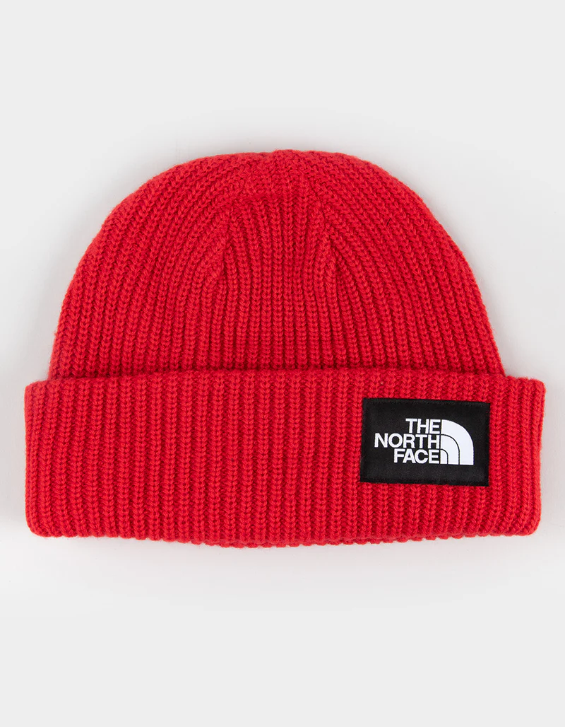 Salty Lined Beanie