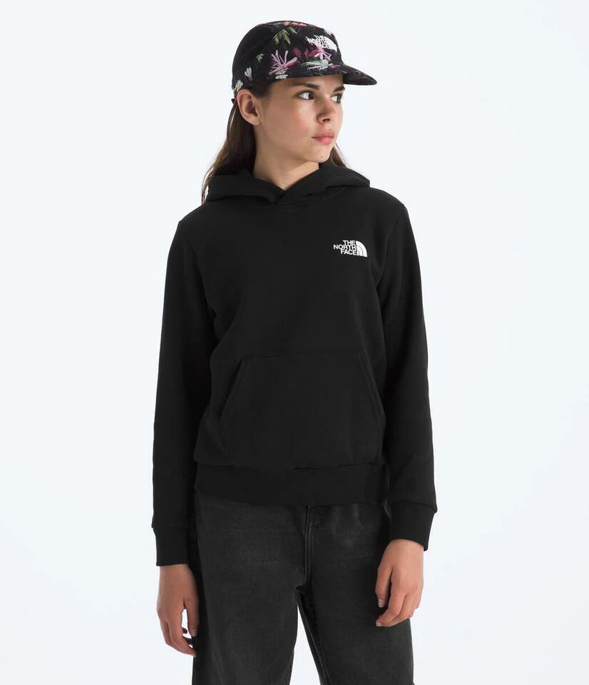 Teen Evolution Box NSE Pullover Hoodie
